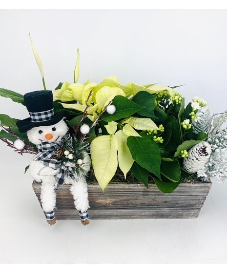 Frosty's Garden