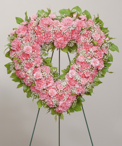 Classic Carnations - Open Heart