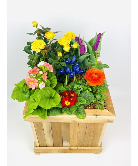 An outdoor cedar patio planter overflowing with seasonal plants.