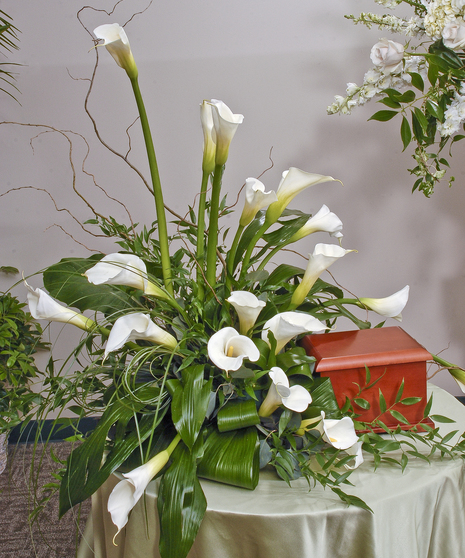 Calla Lily Display