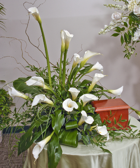 Elegant White Calla lilies provide the perfect display for an urn placement or for the service.  Design measures approximately 30