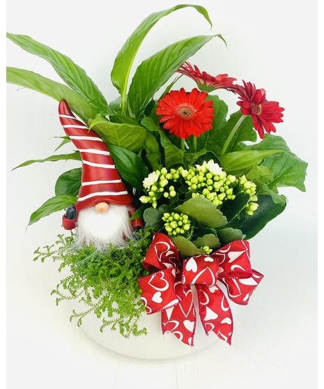 A festive Valentine's Day gnome nestled amongst seasonal blooming plants make up this fun, whimsical garden!