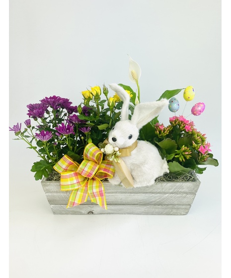 Early Spring  Easter Garden