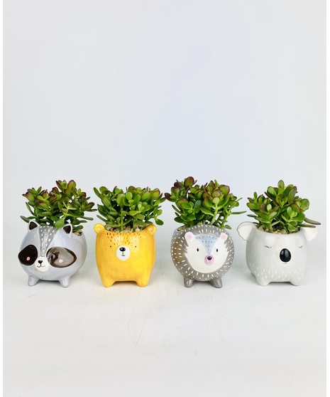 Woodland Friends