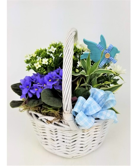 Blue Sky Garden