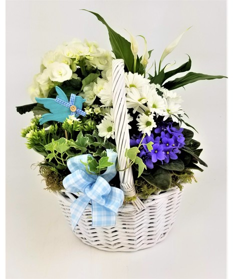 A basket of white and blues to mimic the clear blue skies with a bird accent.