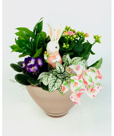 Sweet Bunny Dish Garden