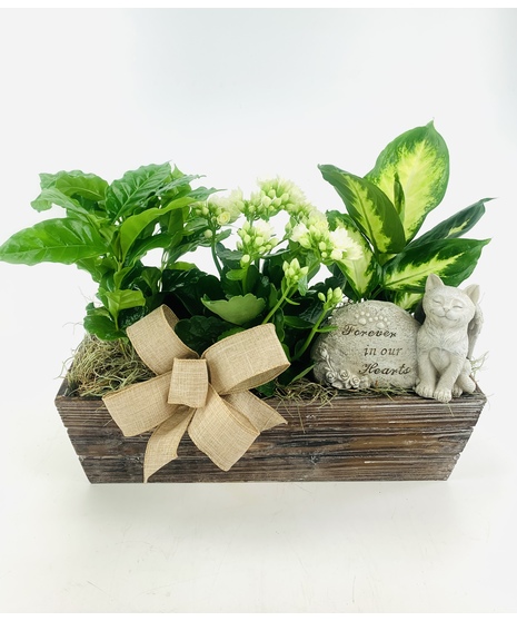 Forever in our hearts! A beautiful angel kitty keepsake stone nestled amongst a beautiful garden.