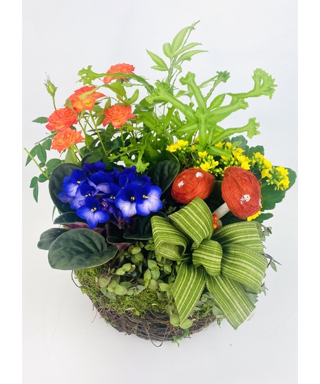 Nature's Garden