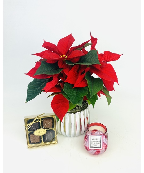A hostess gift or gift for a friend to show them how much you care! 