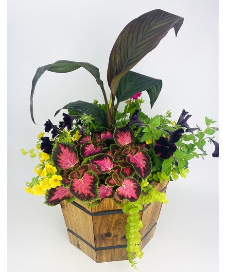 Brighten someone's porch with this planter made of cedar and filled with sun-loving plants.