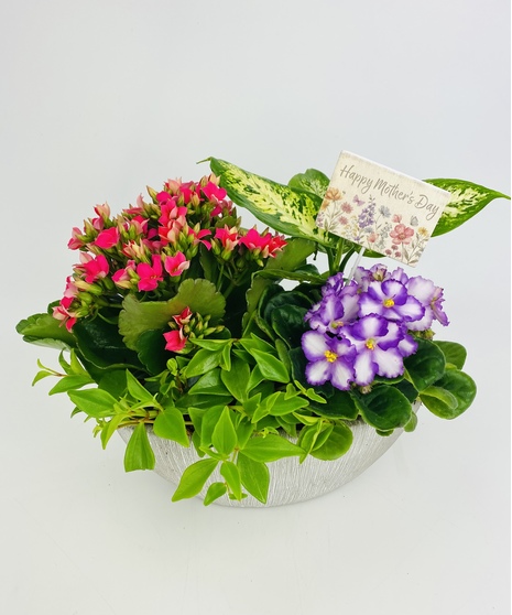 Happy Mother's Day!