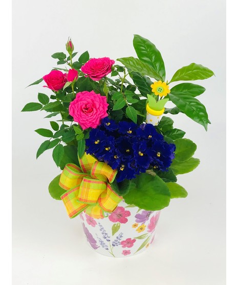 Cheerful Garden