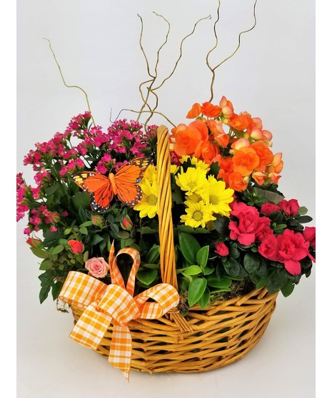 A brown basket overflowing with the brightest flowering plants available. 