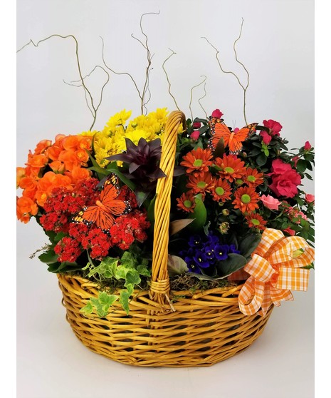 A brown basket overflowing with the brightest flowering plants available. 