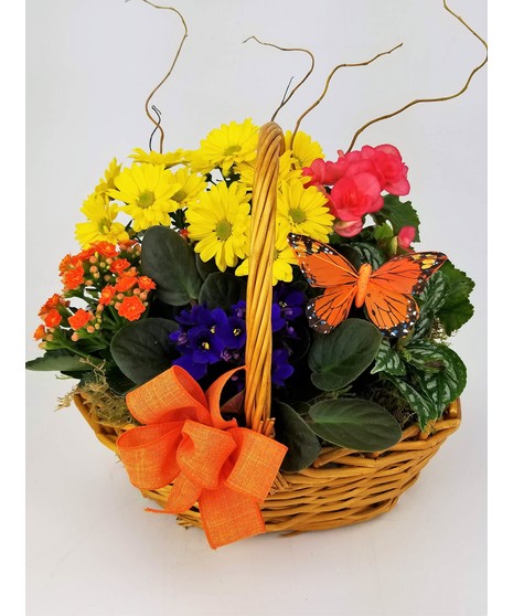 A brown basket overflowing with the brightest flowering plants available. 