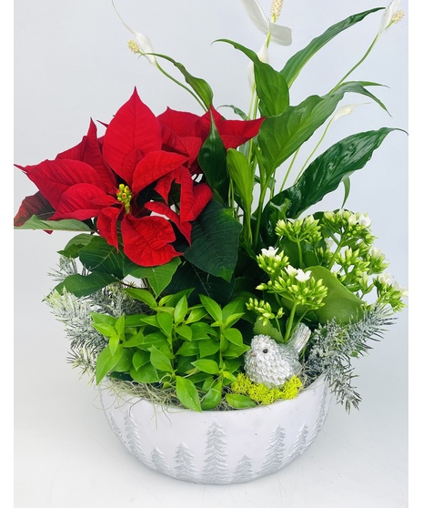 Winter Wishes