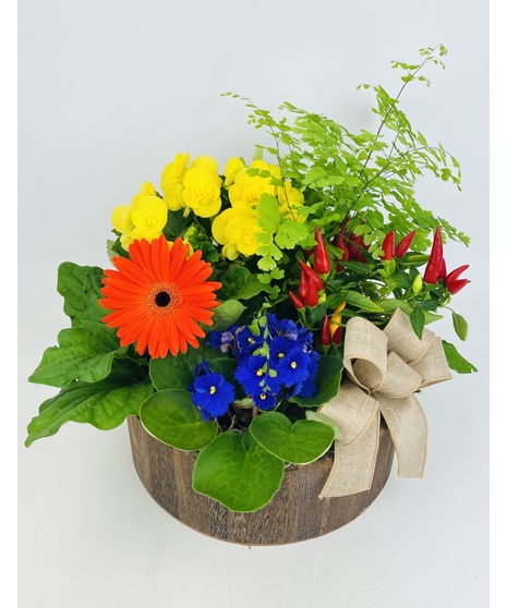 Flowering Plants