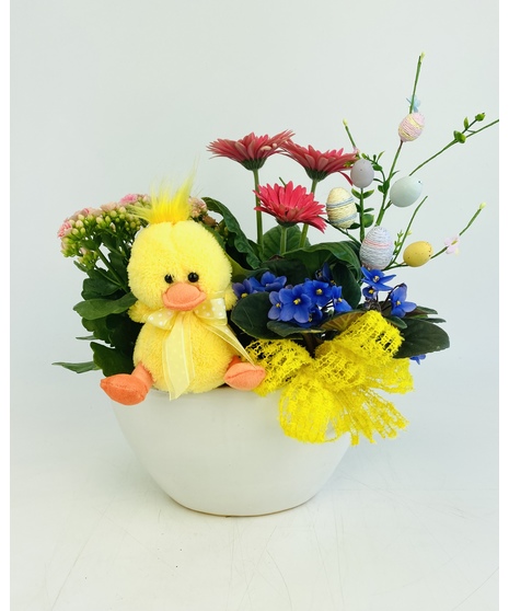 Sweet Baby Duckling