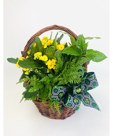 Shamrock Basket