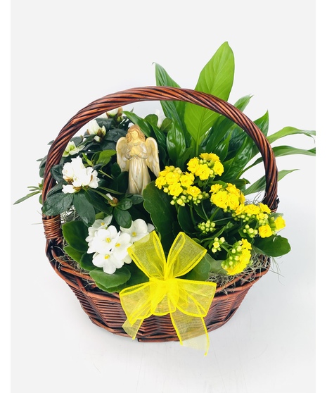 A rich mahogany-colored basket filled with yellow and white blooming plants, as well as green plants. A classic and perfect sentiment for those who have passed.