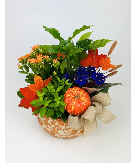 Welcome Fall!