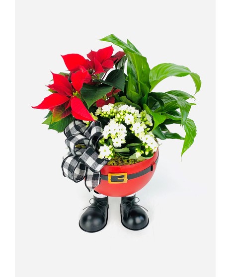 Santa Garden