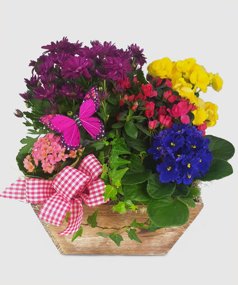 Bright plants and tropical foliage accented by a butterfly make this a great garden for a special friend.
