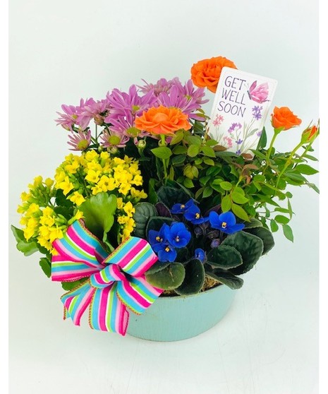 Get Well Garden Stadium Flowers