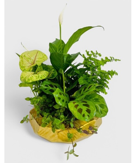 A peaceful easy care garden of tropical green plants, planted in a beautiful hammered gold planter. 