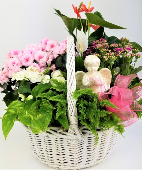 Gracious Garden