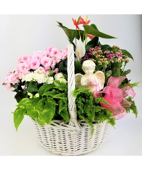 This pastel garden basket is full of fresh blooming and green plants sure to make any recipient smile. A watchful angel completes this extraordinary gift.