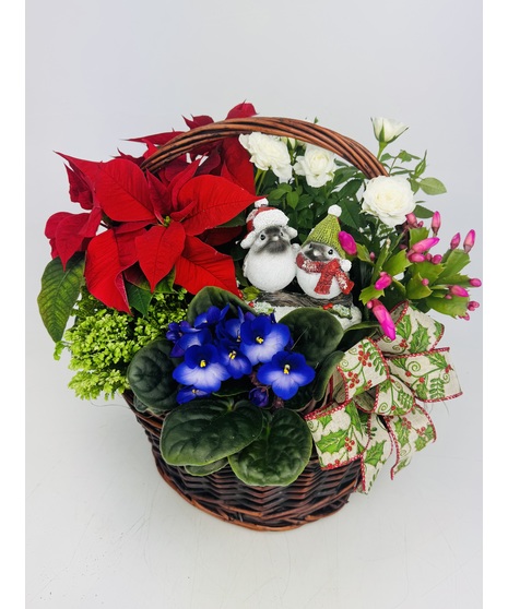 Sweet Snowbird Garden