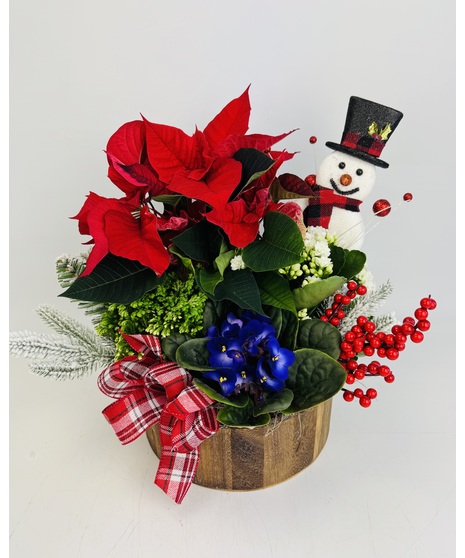 The Snowman Garden from Stadium Flowers in Seattle, WA, is a heartwarming assembly of festive plants, all nestled in a charming wooden planter.