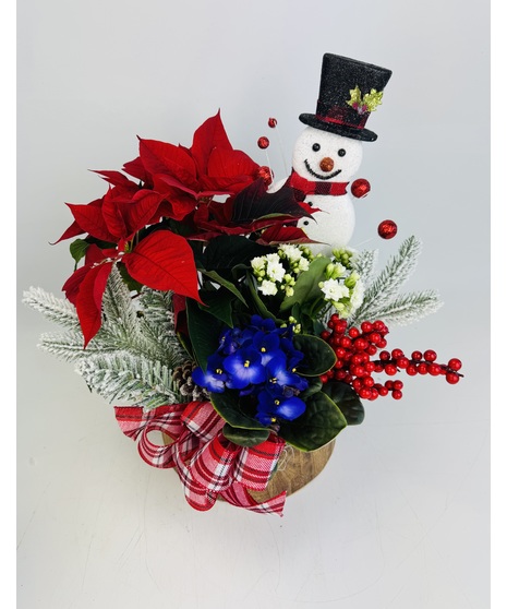 The Snowman Garden from Stadium Flowers in Seattle, WA, is a heartwarming assembly of festive plants, all nestled in a charming wooden planter.