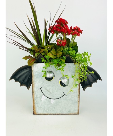 Make someone smile with this Halloween character bag shaped planter filled with an assortment of festive plants. 