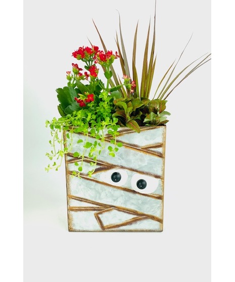 Make someone smile with this Halloween character bag shaped planter filled with an assortment of festive plants. 