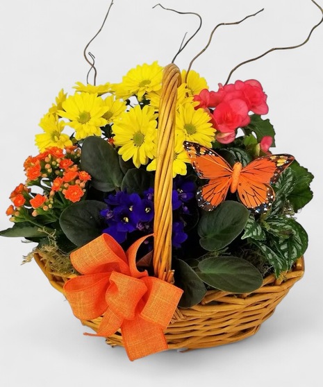 A brown basket overflowing with the brightest flowering plants available. 
