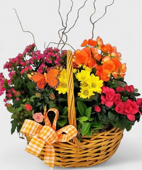 A brown basket overflowing with the brightest flowering plants available. 