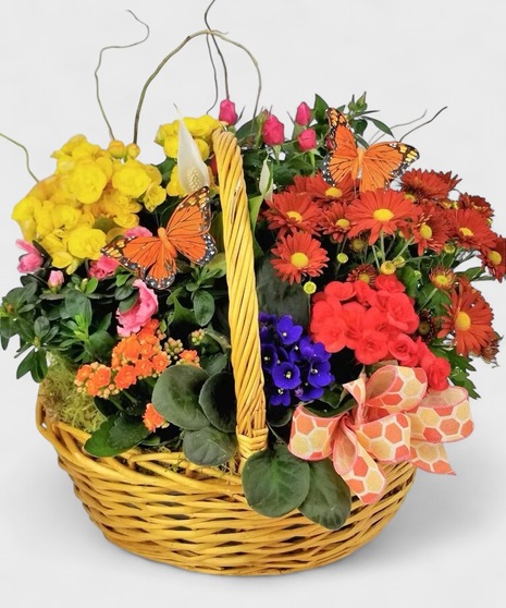 Flowering Plants