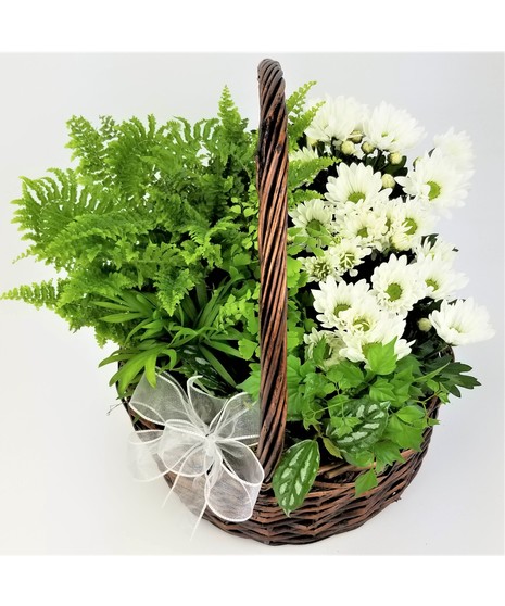 A variety of green tropical plants accented by a blooming white plant in a dark basket.