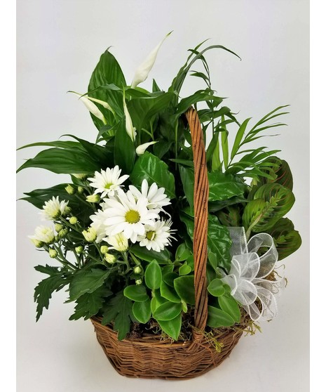 A variety of green tropical plants accented by a blooming white plant in a dark basket.