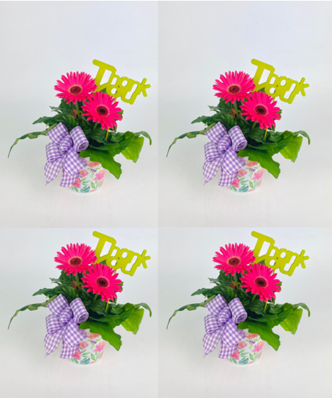 This beautiful melamine flower planter and Gerbera Daisy is a great way to say 