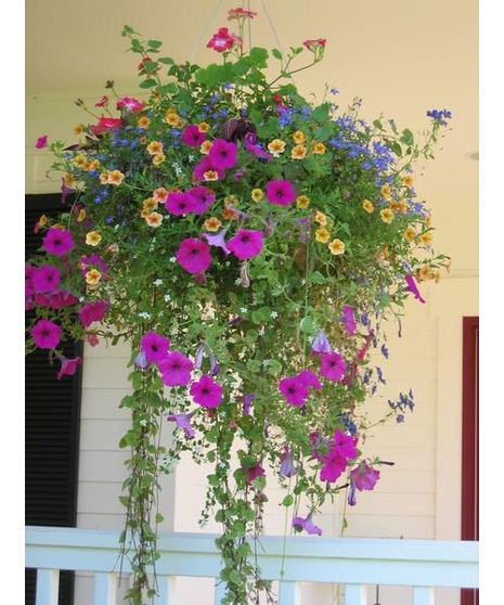 Mixed Sun Basket