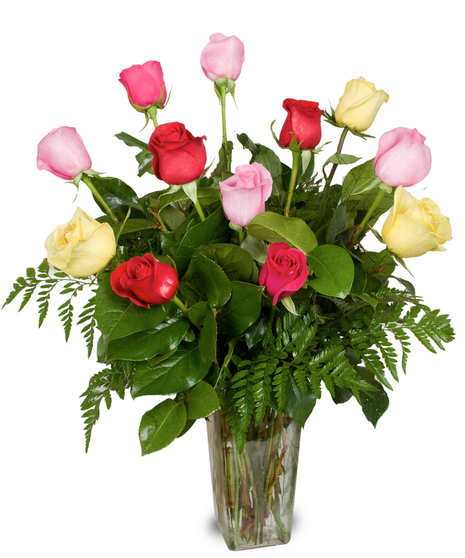 Mixed Roses