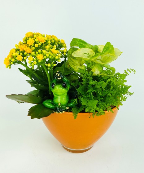 This white ceramic planter filled with green and blooming plants is the perfect home for a keepsake yoga frog garden friend! 
