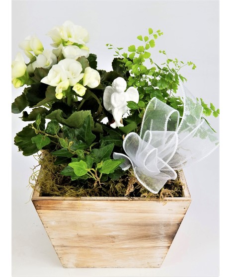 A wooden box of tropical green plants and white blooming plants. Angel may vary based on availability.