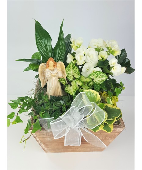 A wooden box of tropical green plants and white blooming plants. Angel may vary based on availability.