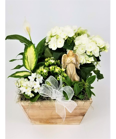 Peaceful Memory Garden