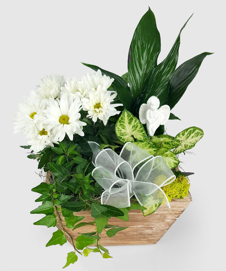 A wooden box of tropical green plants and white blooming plants. Angel may vary based on availability.